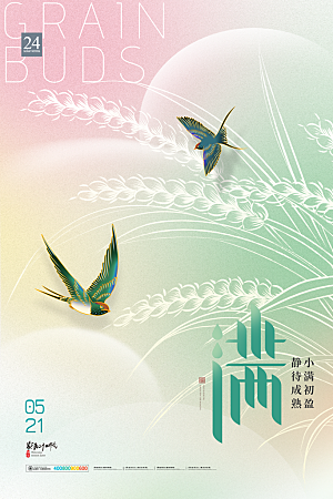 小满节气简约大气海报
