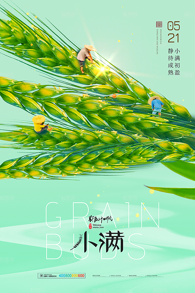 小满节气简约大气海报
