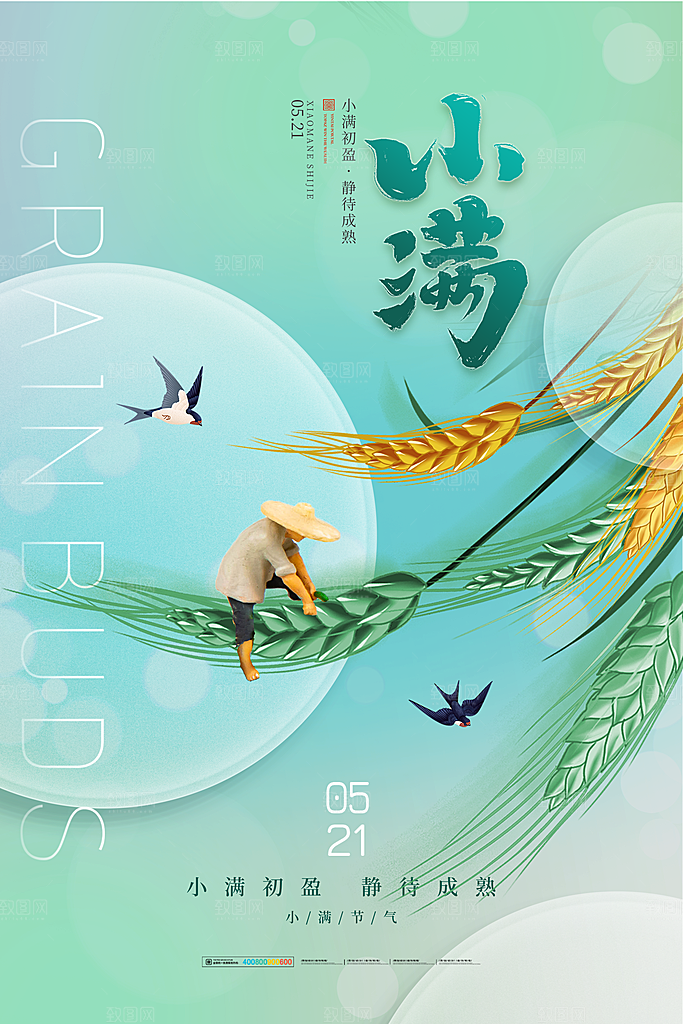 小满节气简约大气海报