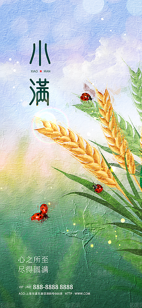 传统节气小满海报模版