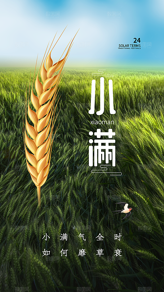传统节气小满海报模版