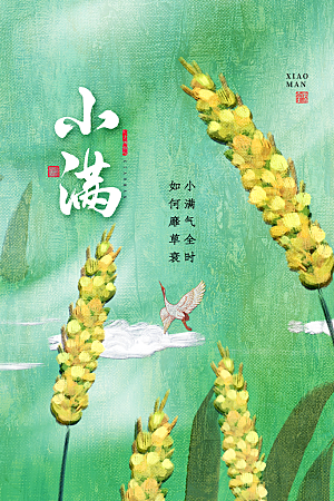 传统节气小满海报模版