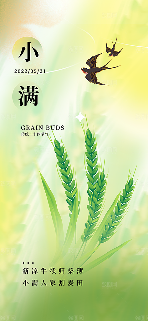 小满节气简约大气海报