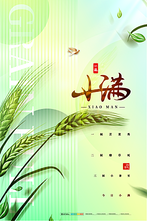 小满节气简约大气海报