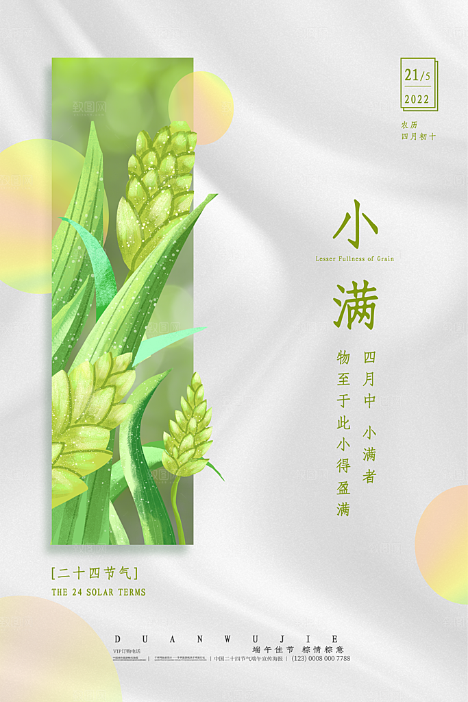 小满节气简约大气海报