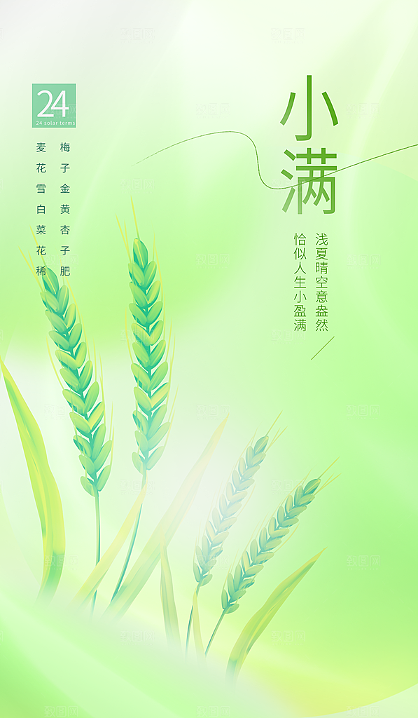 小满节气简约大气海报