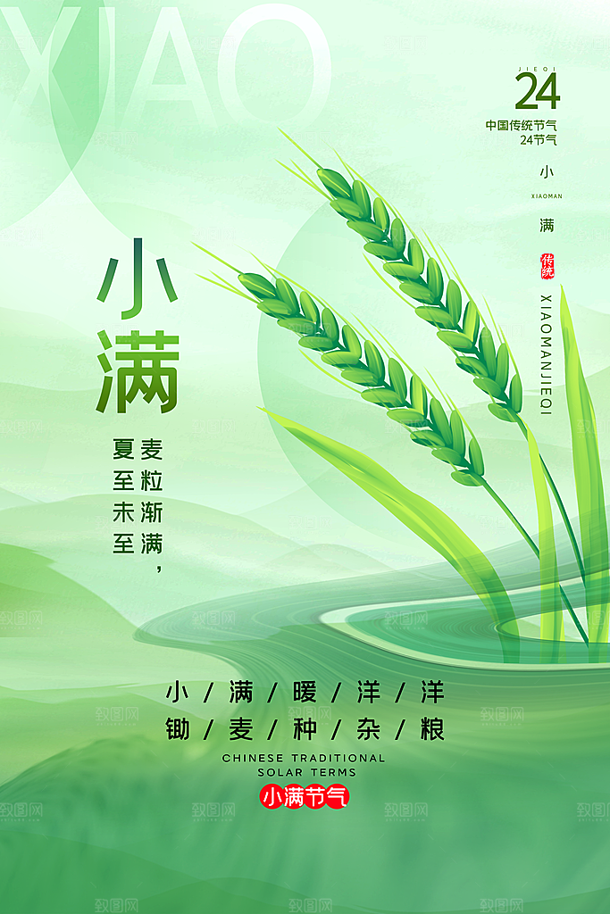小满节气简约大气海报