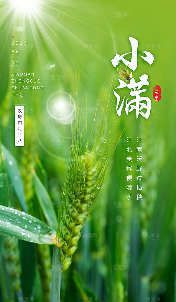 小满节气简约大气海报