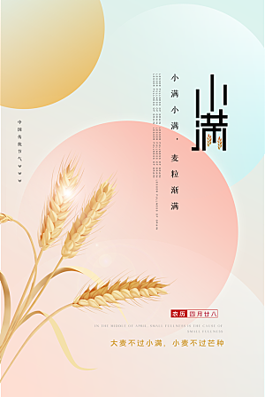 小满节气简约大气海报