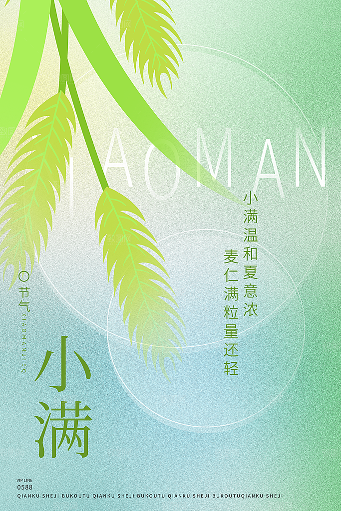 小满节气简约大气海报