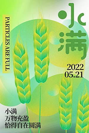 小满节气简约大气海报