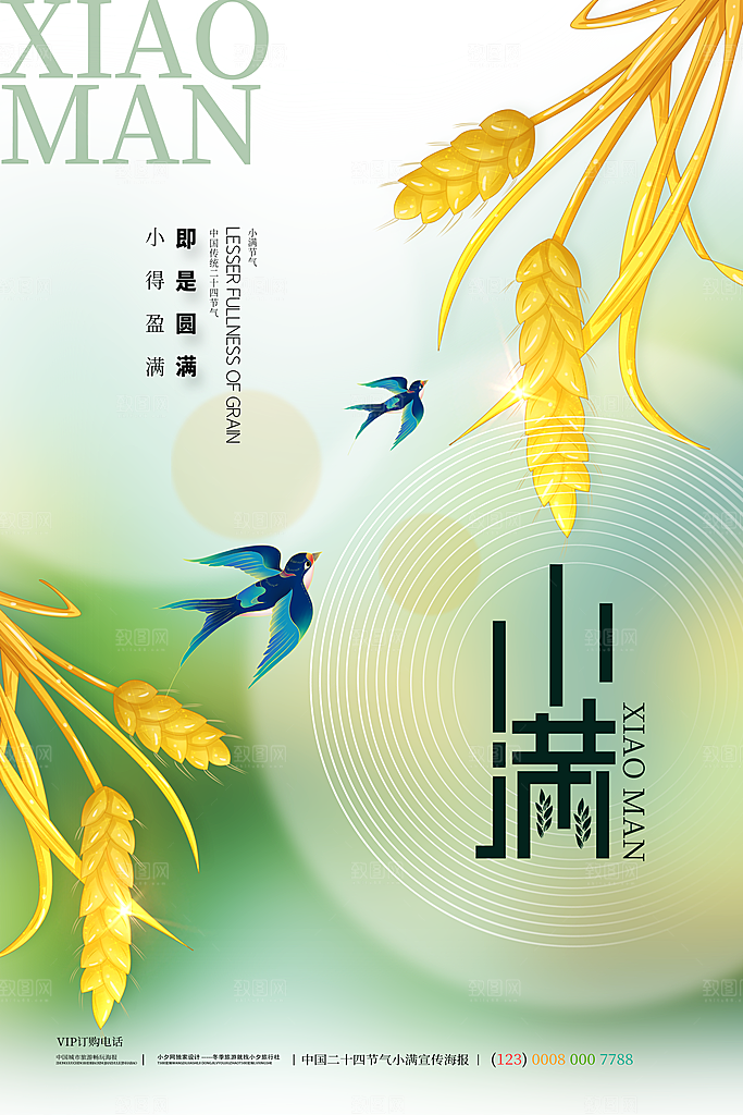 小满节气简约大气海报