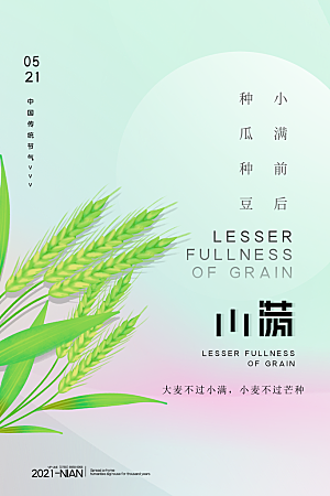 小满节气简约大气海报