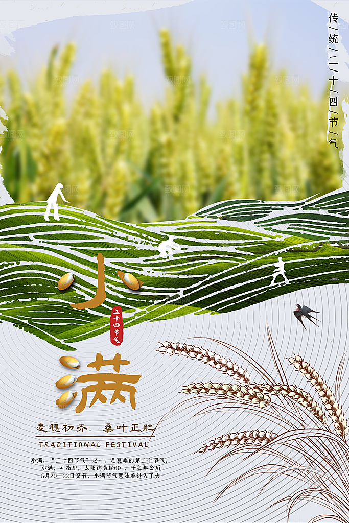 传统节气小满海报模版