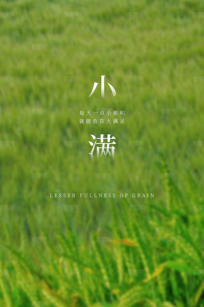 传统节气小满海报模版