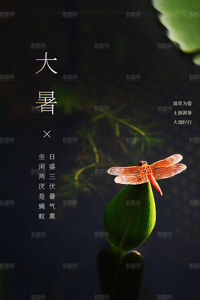 大暑节气传统活动海报