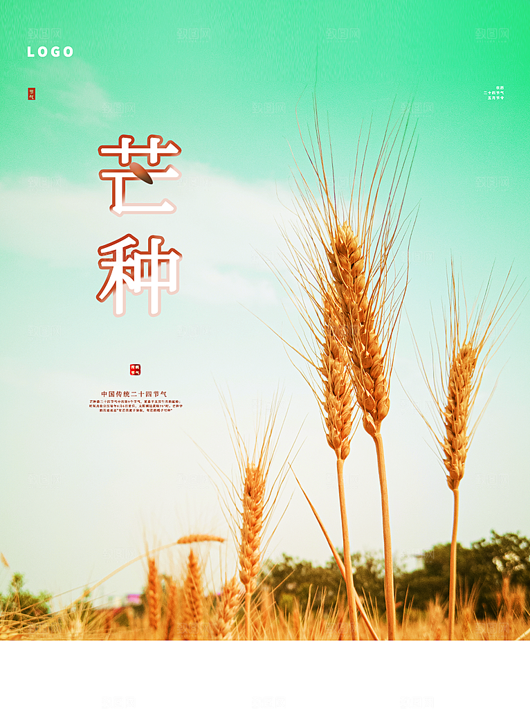 传统二十四节气芒种