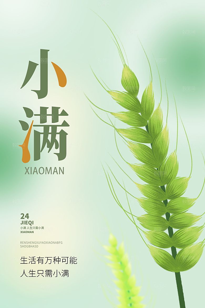 传统节气小满海报模版