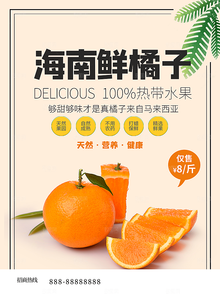 新鲜水果海南鲜橘子
