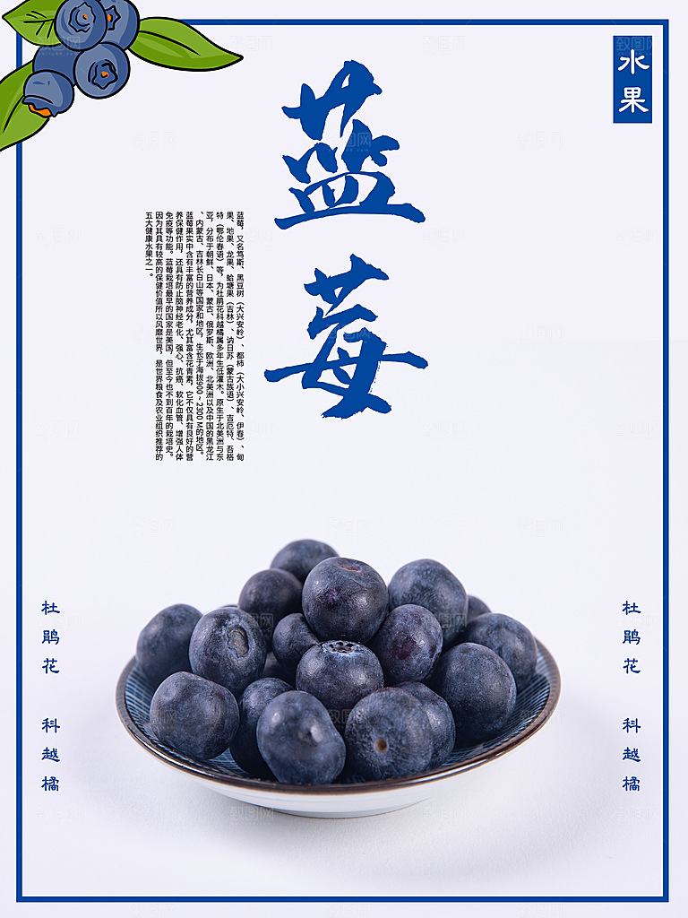 新鲜水果蓝莓海报