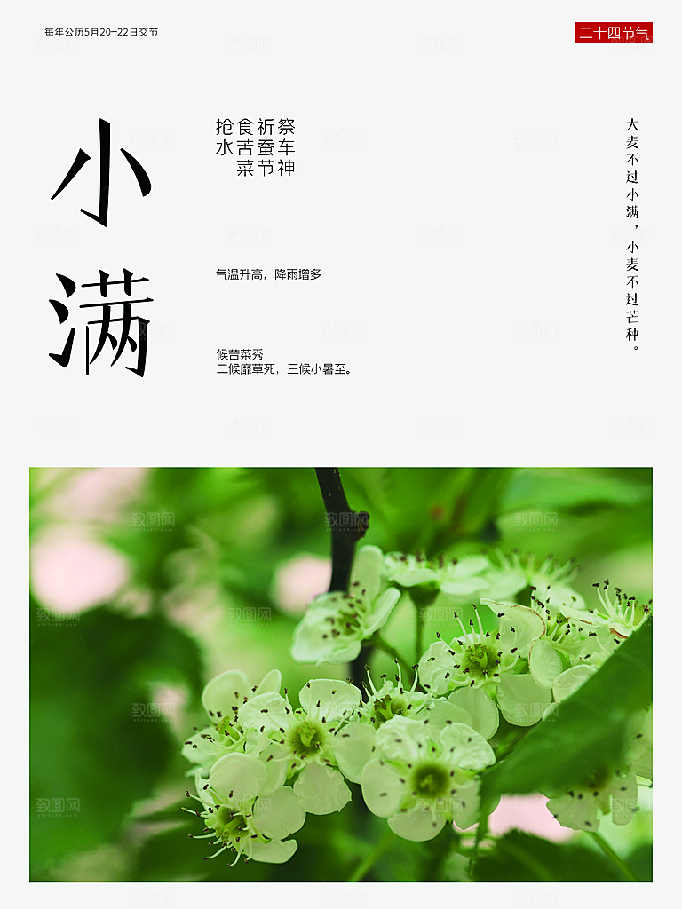 传统二十四节气小满