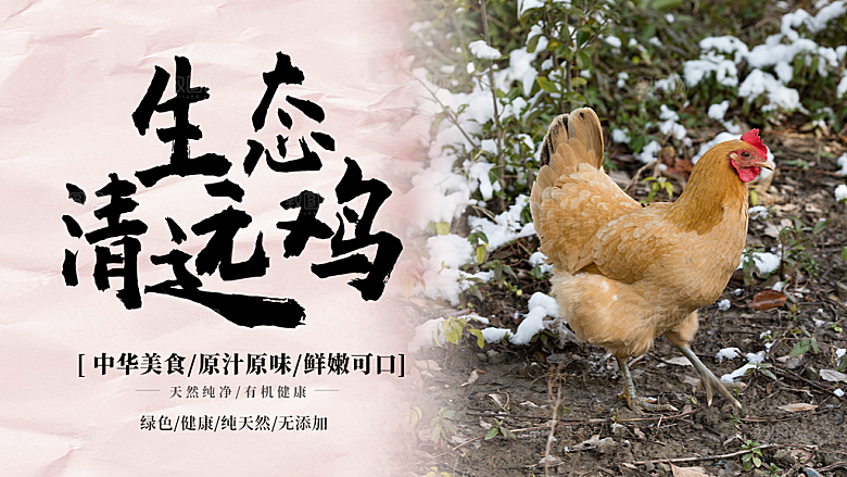 原生态农家散养清远鸡