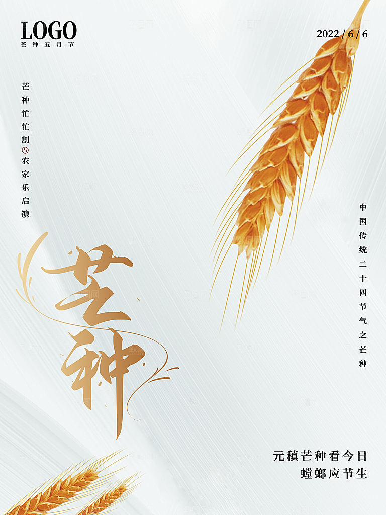 传统二十四节气芒种