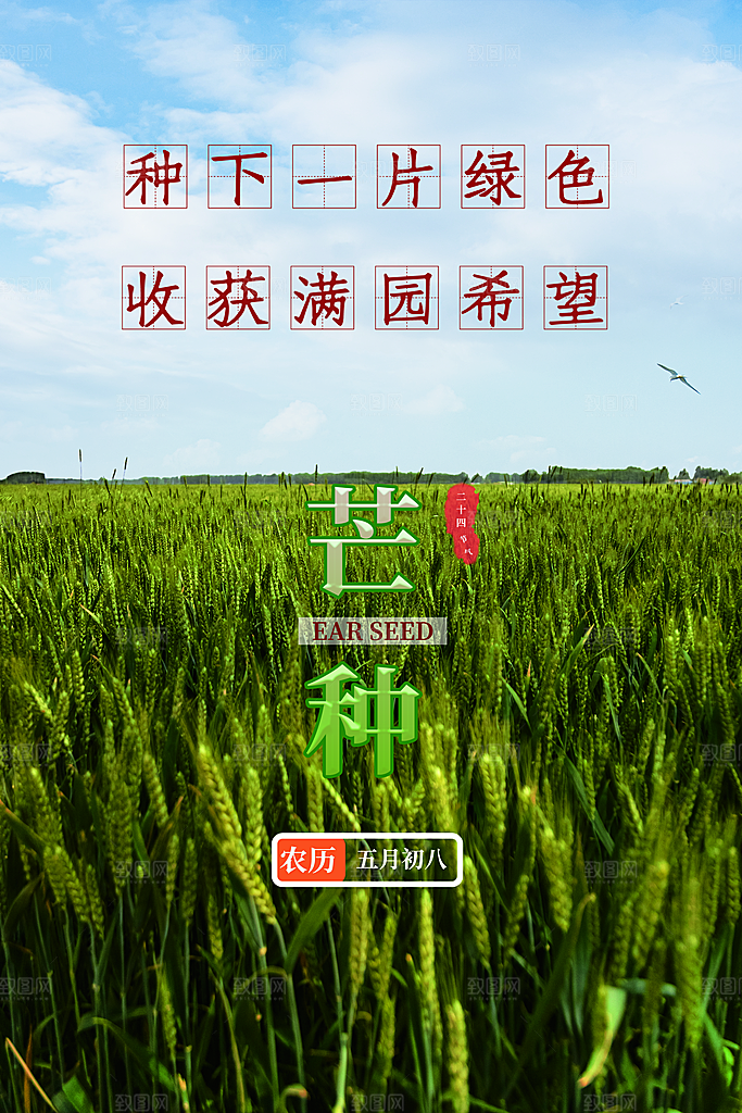 传统二十四节气芒种