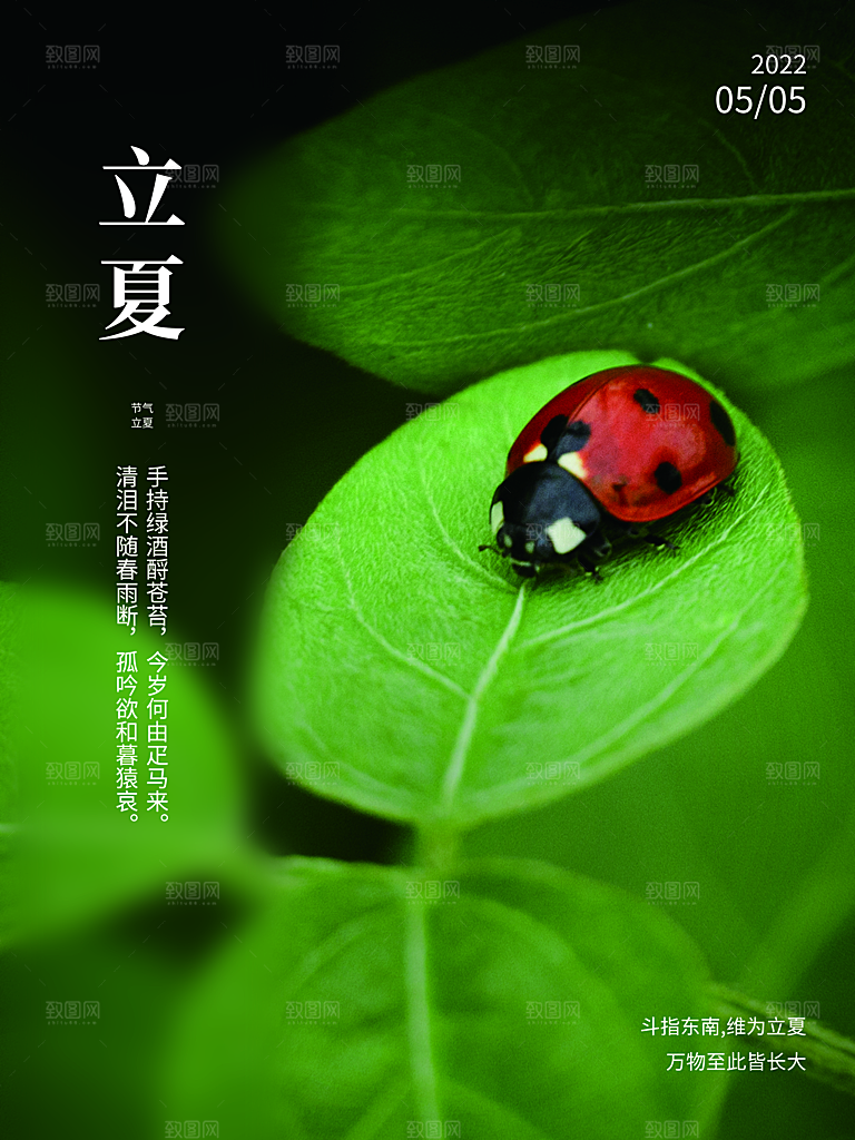 传统二十四节气立夏