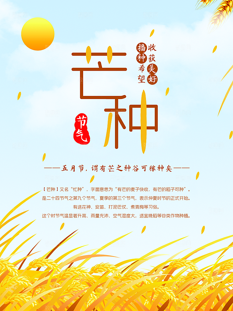 传统二十四节气芒种