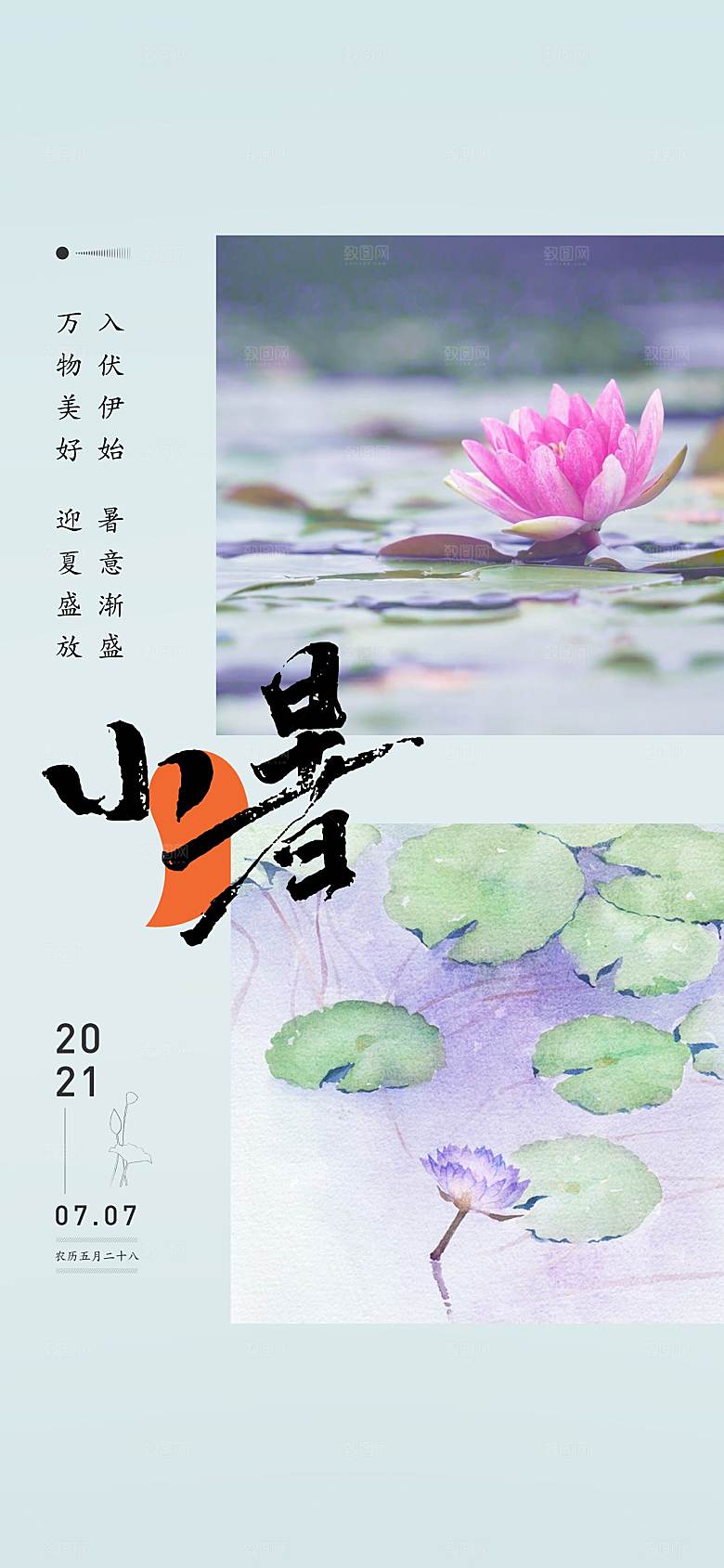 小暑节气简约大气海报
