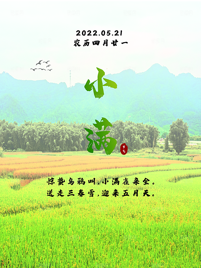 传统二十四节气小满
