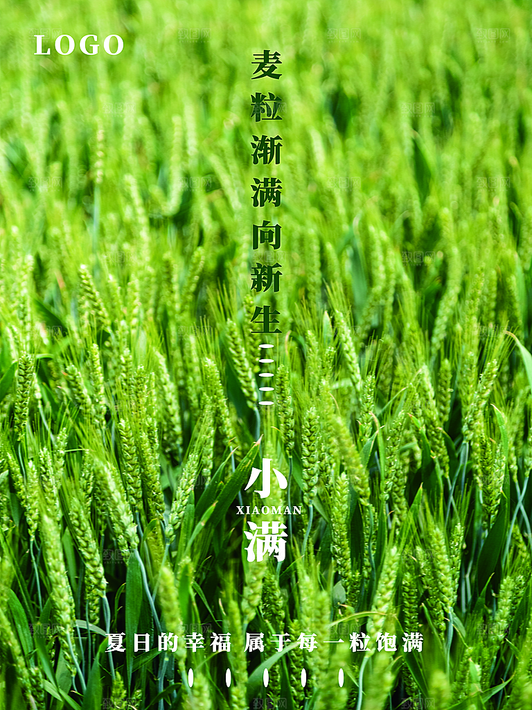 传统二十四节气小满