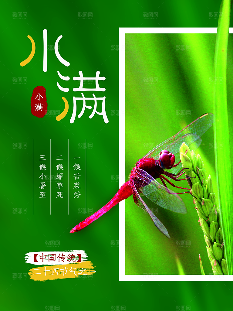 传统二十四节气小满