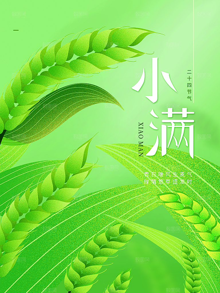 传统二十四节气小满