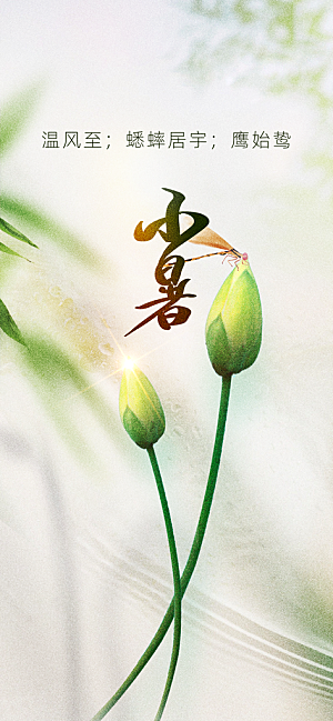 小暑节气传统海报