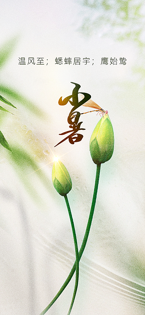 小暑节气传统海报