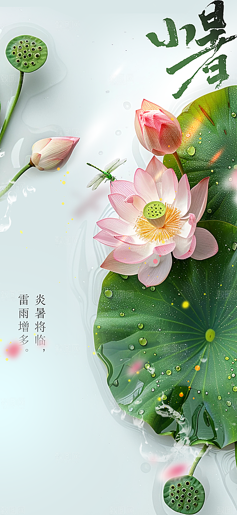 小暑节气传统海报