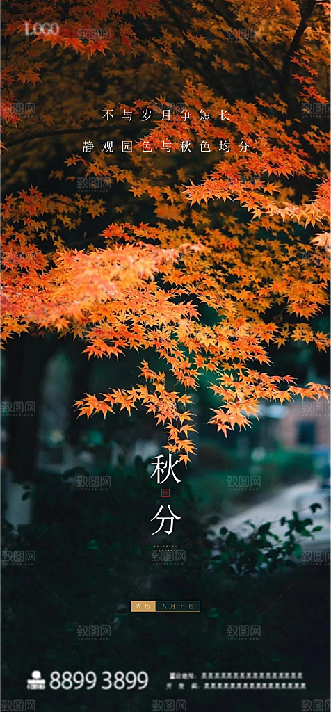 秋分海报秋分节气