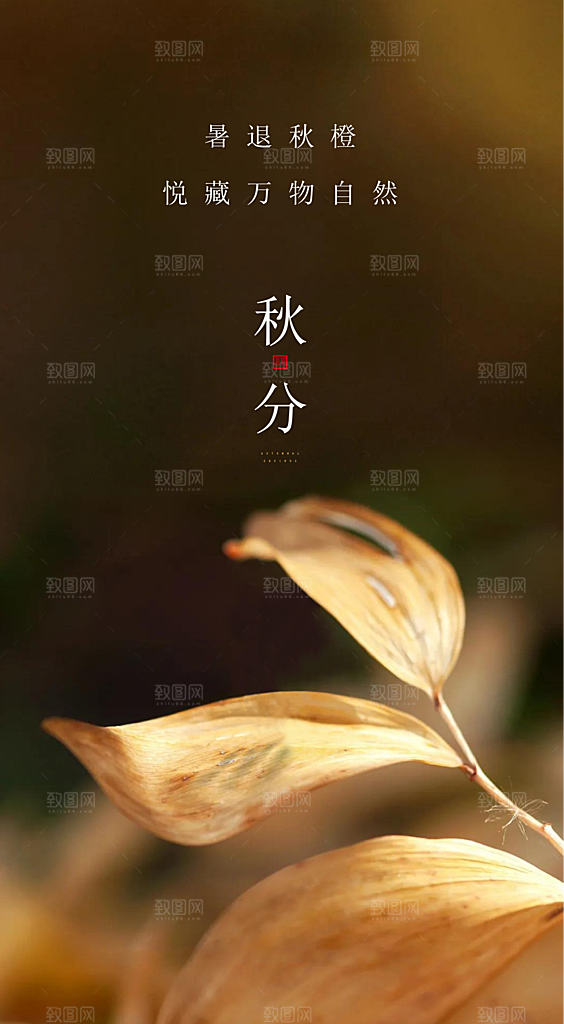 秋分海报秋分节气