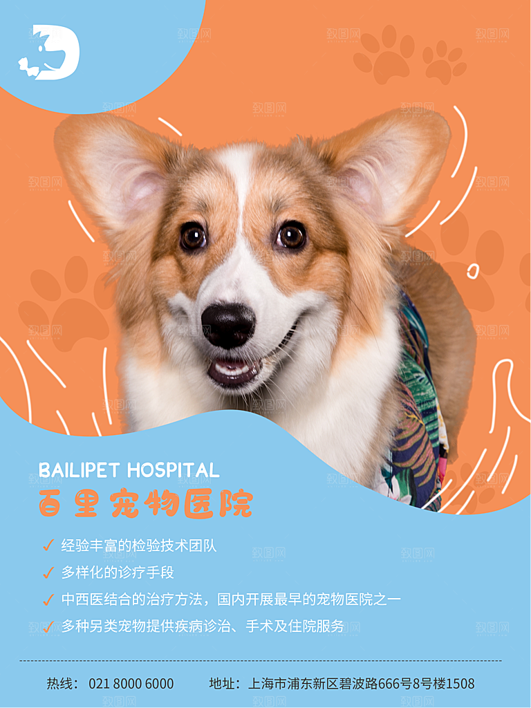 宠物动物口粮商店美容海报