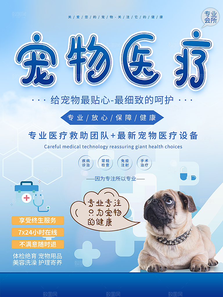宠物动物口粮商店美容海报