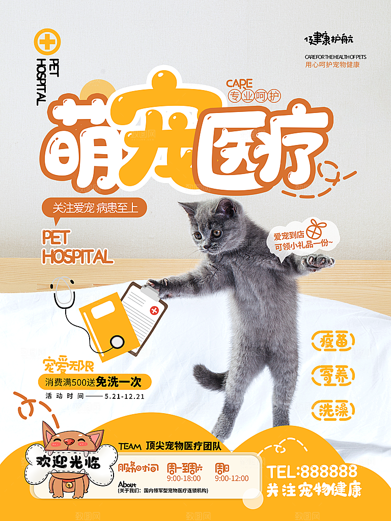 宠物动物口粮商店美容海报