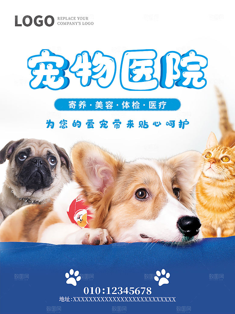 宠物动物口粮商店美容海报