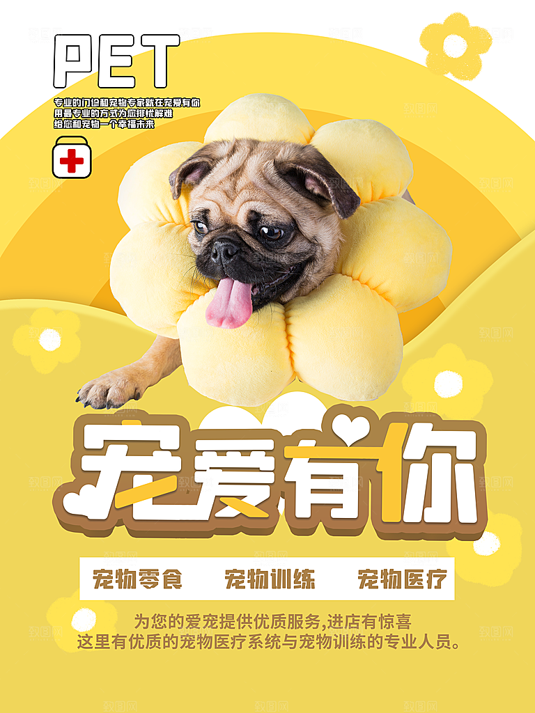 宠物动物口粮商店美容海报