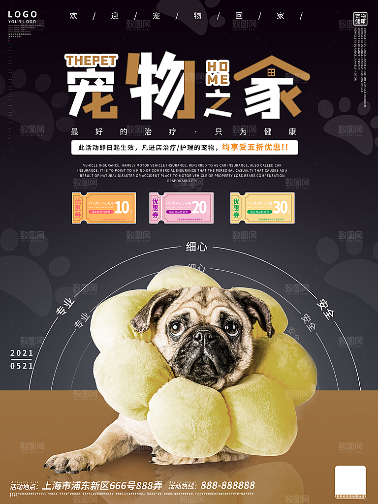 宠物动物口粮商店美容海报