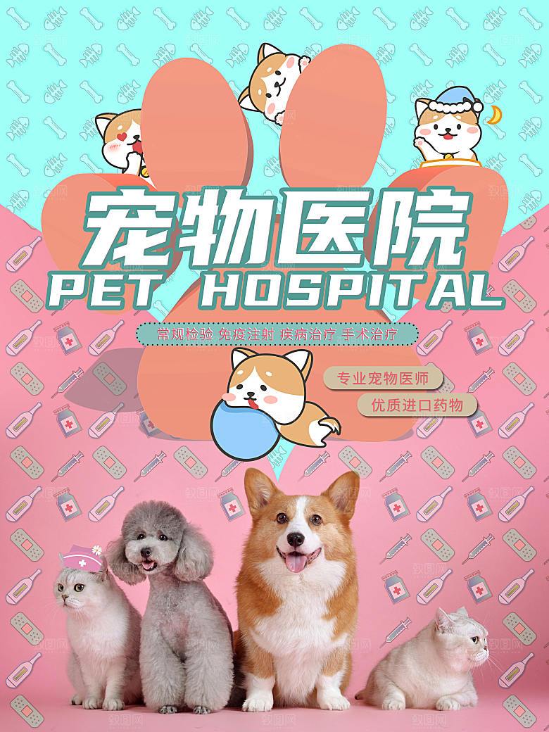 宠物动物口粮商店美容海报