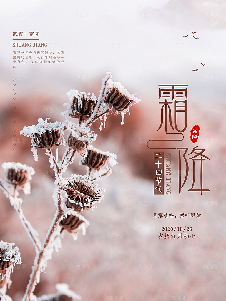 霜降节气简约大气海报