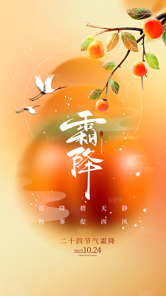 霜降节气简约大气海报
