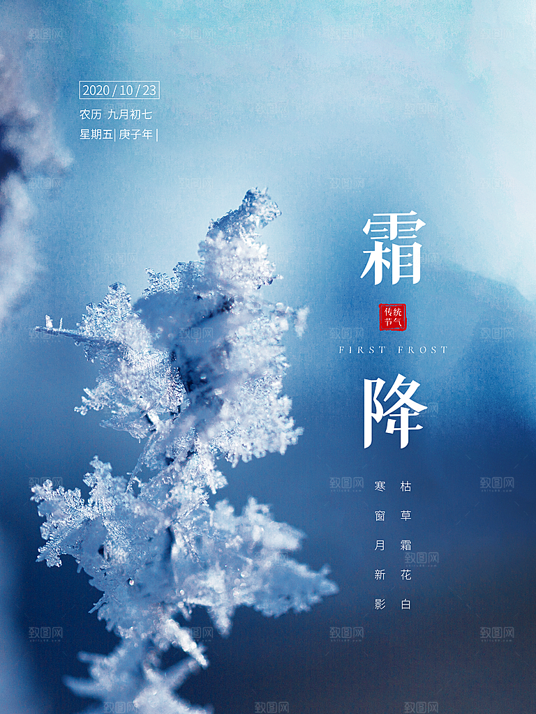 霜降节气简约大气海报